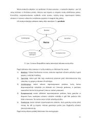 Muitų politika Lietuvoje 11 puslapis