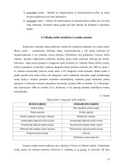 Muitų politika Lietuvoje 12 puslapis