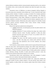 Muitų politika Lietuvoje 13 puslapis