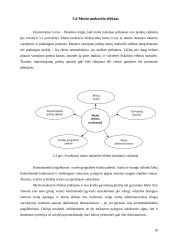 Muitų politika Lietuvoje 16 puslapis