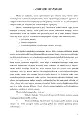 Muitų politika Lietuvoje 3 puslapis