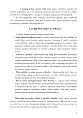 Muitų politika Lietuvoje 8 puslapis