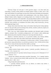 Namų užstatymo analizė 12 puslapis