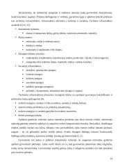 Namų užstatymo analizė 14 puslapis