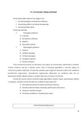 Namų užstatymo analizė 18 puslapis
