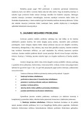 Nedarbas ir nedarbo mažinimo politika Lietuvoje 12 puslapis