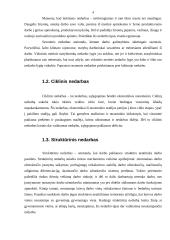 Nedarbas ir nedarbo mažinimo politika Lietuvoje 4 puslapis