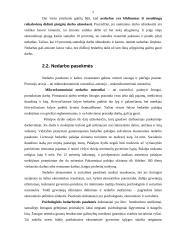 Nedarbas ir nedarbo mažinimo politika Lietuvoje 7 puslapis