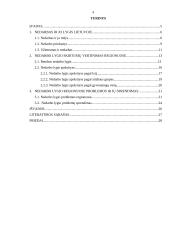 Nedarbo lygio regioniniai skirtumai Lietuvoje 4 puslapis