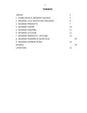 Nedarbo problemos Lietuvoje 2 puslapis