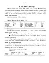 Nedarbo problemos Lietuvoje 13 puslapis