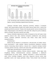 Nedarbo problemos Lietuvoje 18 puslapis