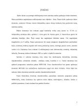 Nekilnojamojo turto vertinimo metodai 2 puslapis