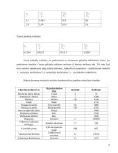Nekilnojamojo turto vertinimo metodai 8 puslapis
