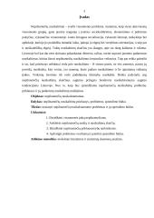 Nepilnamečių nusikalstamumo problemos Lietuvoje ir jų sprendimo būdai 3 puslapis