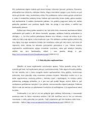 Nepilnamečių nusikalstamumo problemos Lietuvoje ir jų sprendimo būdai 5 puslapis