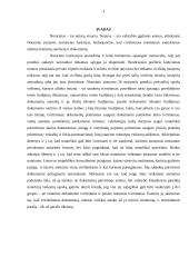 Notariato funkcijos ir uždaviniai 2 puslapis