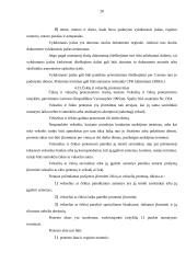 Notariato funkcijos ir uždaviniai 19 puslapis
