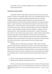Nuosprendžio vykdymas: teorija ir praktika 12 puslapis