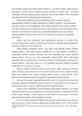 Nuosprendžio vykdymas: teorija ir praktika 5 puslapis