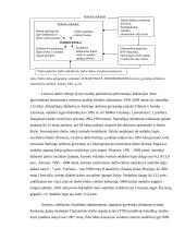 Nusikalstamumo, skurdo ir nedarbo Lietuvoje ryšio įvertinimas 11 puslapis