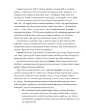 Nusikalstamumo, skurdo ir nedarbo Lietuvoje ryšio įvertinimas 20 puslapis