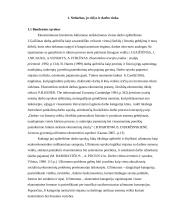 Nusikalstamumo, skurdo ir nedarbo Lietuvoje ryšio įvertinimas 4 puslapis