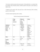 Obligacijos ir panašūs vertybiniai popieriai 14 puslapis