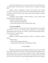 Obligacijos ir panašūs vertybiniai popieriai 17 puslapis