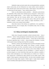 Obuoliai ir obelys 12 puslapis