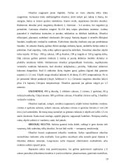 Obuoliai ir obelys 19 puslapis