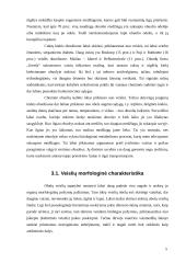 Obuoliai ir obelys 5 puslapis