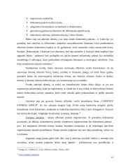 Ofšorinis verslas ir įmonės 13 puslapis