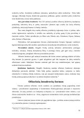 Ofšorinis verslas ir įmonės 18 puslapis