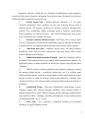 Ofšorinis verslas ir įmonės 7 puslapis