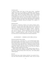 Lietuvių literatūros konspektas abiturientui 4 puslapis