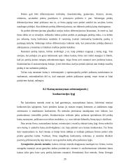 Oligopolija ir oligopolinė rinka 20 puslapis