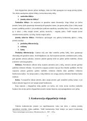 Oligopolija ir oligopolinė rinka 7 puslapis