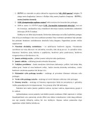 Organizacijos vadyba: ryšio kompanija AB "Ryšys" 14 puslapis