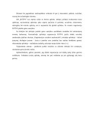 Organizacijos vadyba: ryšio kompanija AB "Ryšys" 16 puslapis
