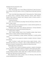 Organizacijos vadyba: ryšio kompanija AB "Ryšys" 19 puslapis