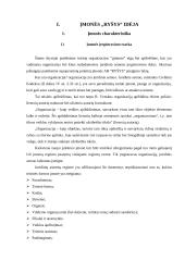 Organizacijos vadyba: ryšio kompanija AB "Ryšys" 3 puslapis