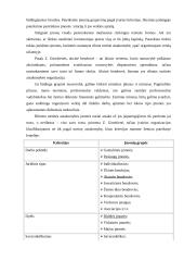 Organizacijos vadyba: ryšio kompanija AB "Ryšys" 6 puslapis