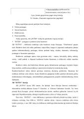 Organizacijos vadyba: ryšio kompanija AB "Ryšys" 7 puslapis
