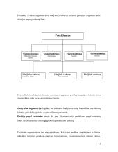 Veiklos organizavimas darbovietėje 14 puslapis