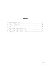Veiklos organizavimas darbovietėje 18 puslapis