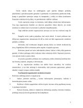 Veiklos organizavimas darbovietėje 3 puslapis
