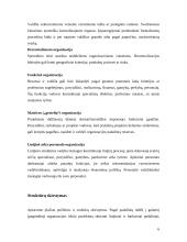 Veiklos organizavimas darbovietėje 6 puslapis