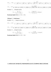 Oro linijų tiesimas kaimo vietovėje 16 puslapis