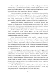 Paauglys ir jį supanti socialinė aplinka 12 puslapis